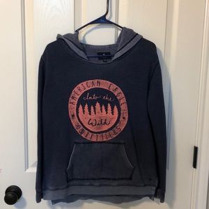 Into The Wild American Eagle Hoodie